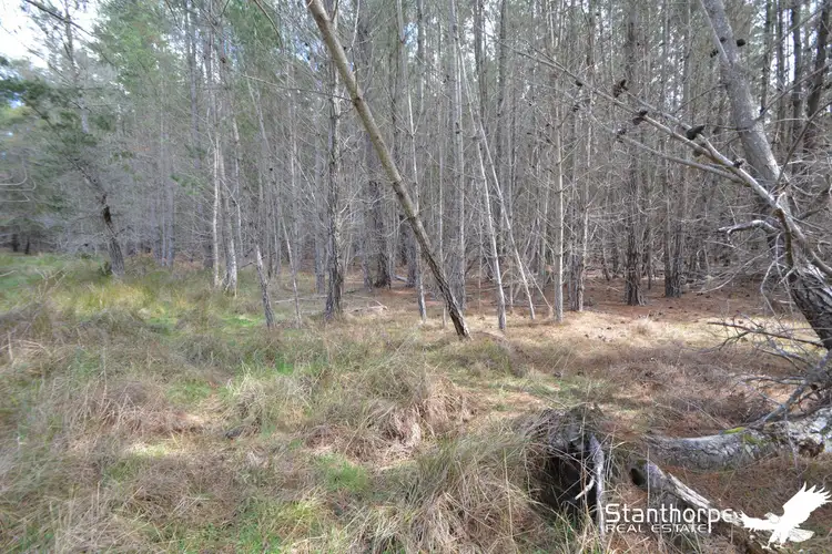 Fourth view of Homely rural property listing, LOT 247 Radiata Close, Sugarloaf QLD 4380