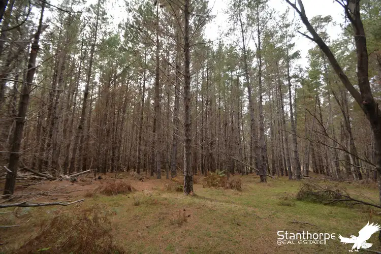 Fifth view of Homely rural property listing, LOT 247 Radiata Close, Sugarloaf QLD 4380