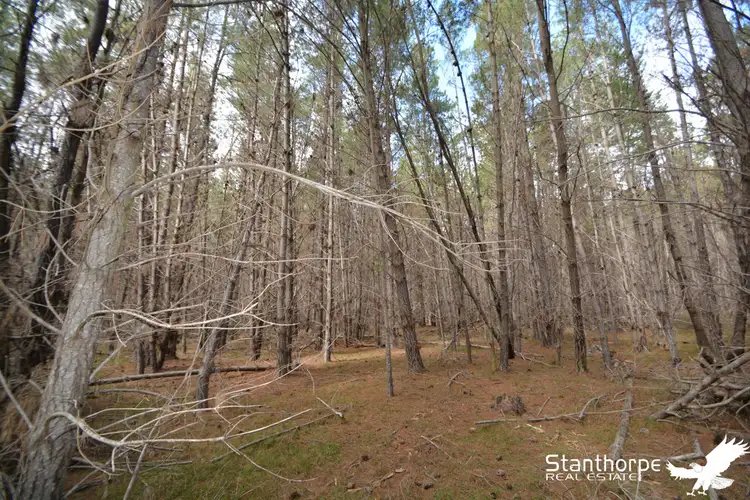 Sixth view of Homely rural property listing, LOT 247 Radiata Close, Sugarloaf QLD 4380