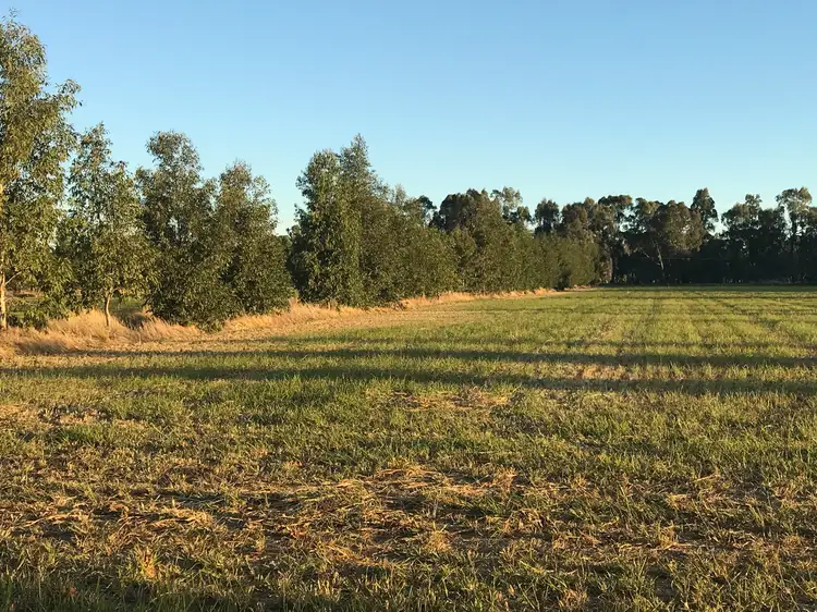Main view of Homely land listing, LOT 81, North Barham North Barham Road, Barham NSW 2732