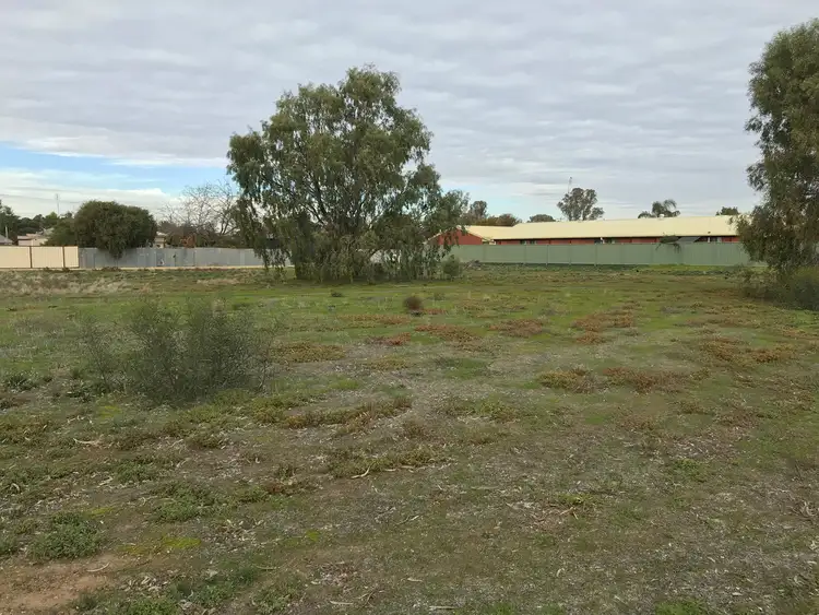 Main view of Homely land listing, 53 Thule Street, Barham NSW 2732