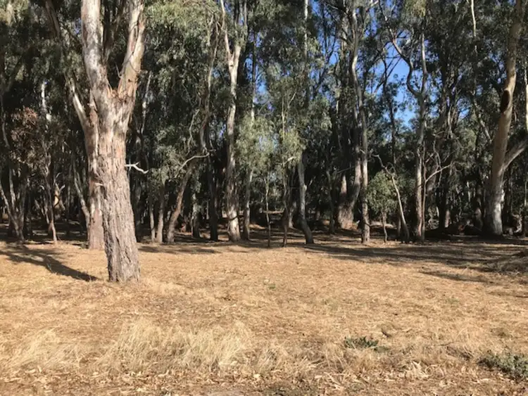 Fourth view of Homely land listing, LOT 19, Armstrong Drive Armstrong Drive, Barham NSW 2732