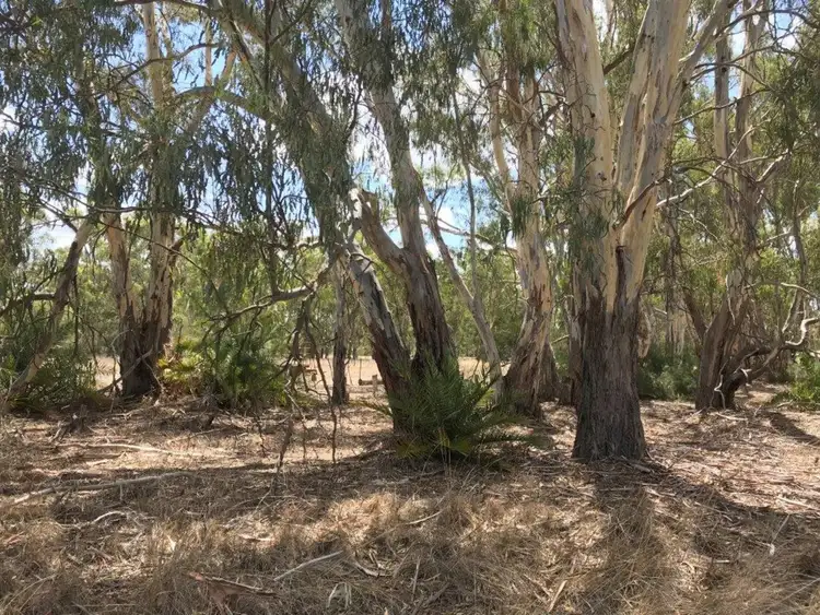 Third view of Homely land listing, LOT 154 Koondrook/Murrabit Road, Koondrook VIC 3580