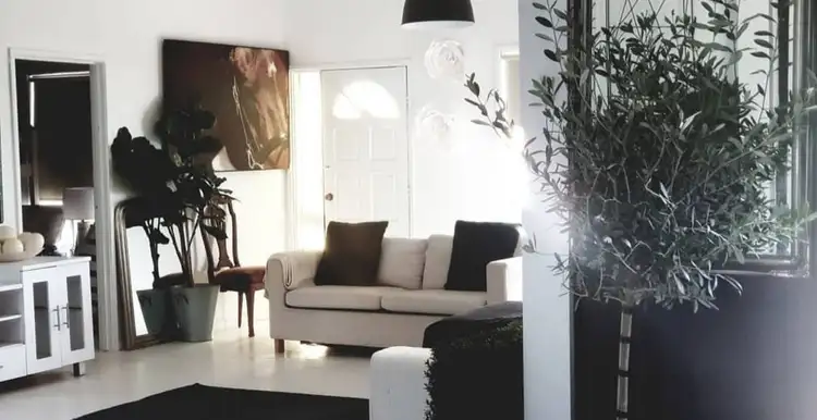 Second view of Homely house listing, 37 Forest Street, Barham NSW 2732