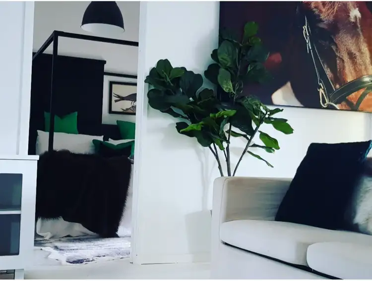 Fourth view of Homely house listing, 37 Forest Street, Barham NSW 2732