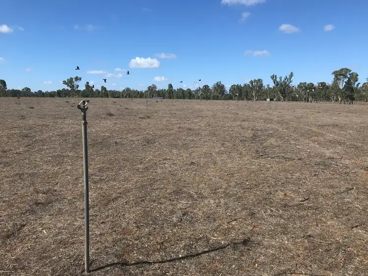 Third view of Homely rural property listing, "Maries Lane" 439 East Barham Road, Barham NSW 2732