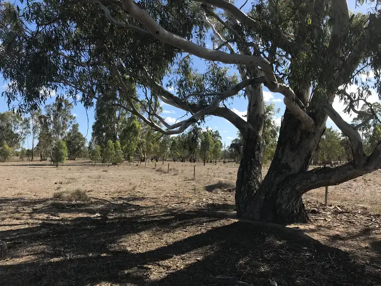 Fourth view of Homely rural property listing, "Maries Lane" 439 East Barham Road, Barham NSW 2732