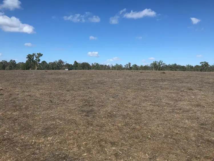 Fifth view of Homely rural property listing, "Maries Lane" 439 East Barham Road, Barham NSW 2732