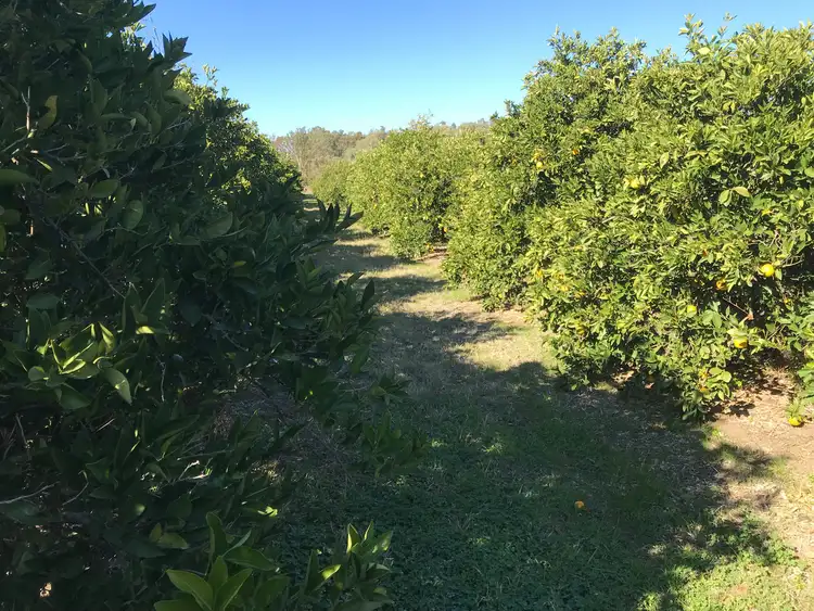 Sixth view of Homely rural property listing, LOT 2 Murray Road, Murrabit VIC 3579