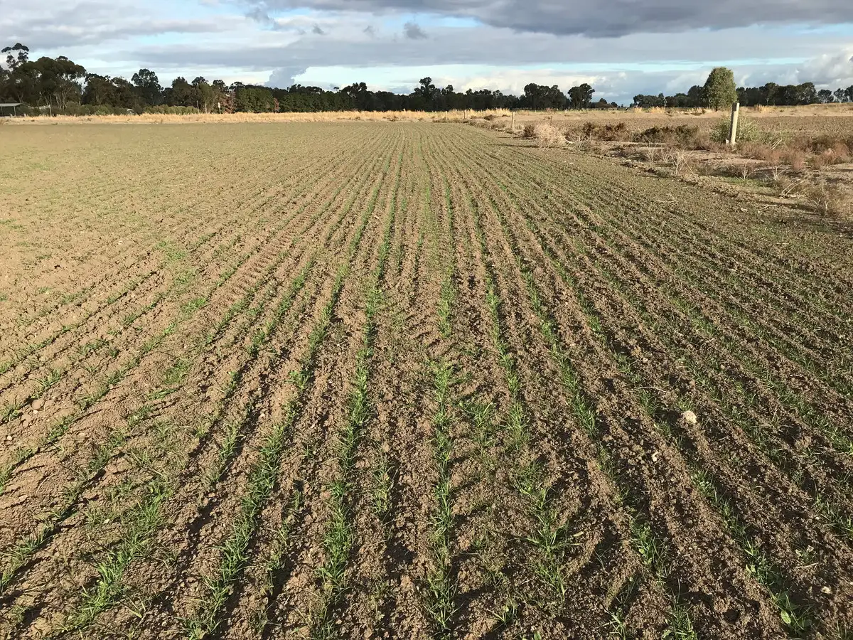 Main view of Homely rural property listing, 46 Browning Avenue, Murrabit VIC 3579