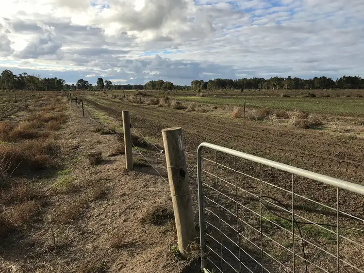Second view of Homely rural property listing, 46 Browning Avenue, Murrabit VIC 3579