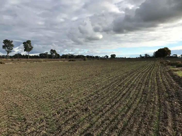 Third view of Homely rural property listing, 46 Browning Avenue, Murrabit VIC 3579