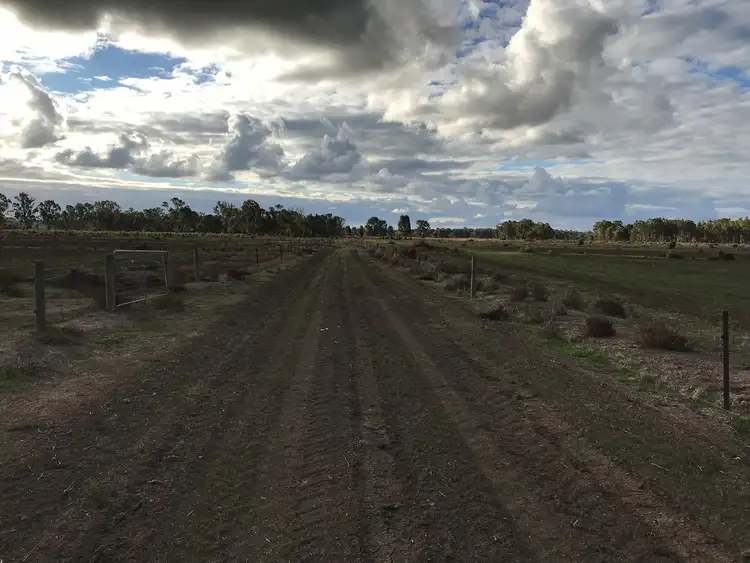 Fourth view of Homely rural property listing, 46 Browning Avenue, Murrabit VIC 3579