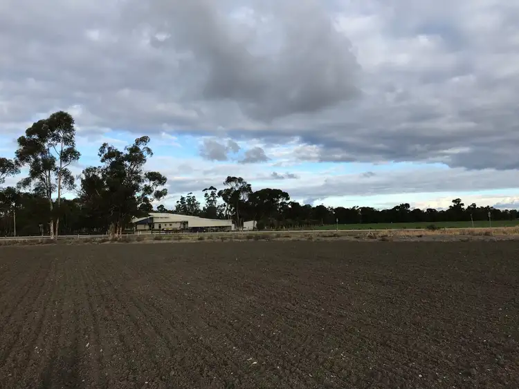 Fifth view of Homely rural property listing, 46 Browning Avenue, Murrabit VIC 3579