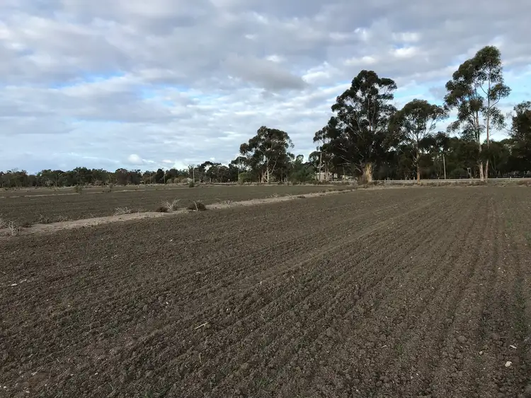 Sixth view of Homely rural property listing, 46 Browning Avenue, Murrabit VIC 3579