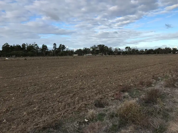 Seventh view of Homely rural property listing, 46 Browning Avenue, Murrabit VIC 3579