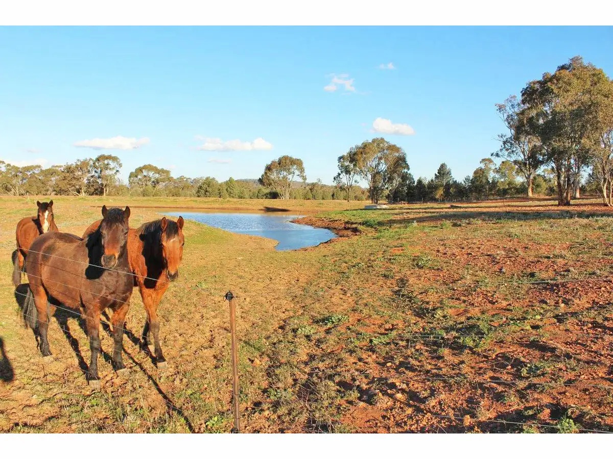 Main view of Homely rural property listing, 1382 Goohli Road, Gunnedah NSW 2380