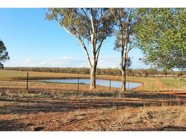 Fourth view of Homely rural property listing, 1382 Goohli Road, Gunnedah NSW 2380