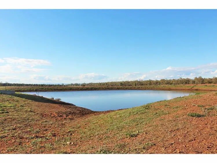 Sixth view of Homely rural property listing, 1382 Goohli Road, Gunnedah NSW 2380