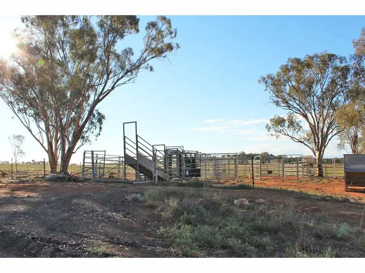 Seventh view of Homely rural property listing, 1382 Goohli Road, Gunnedah NSW 2380