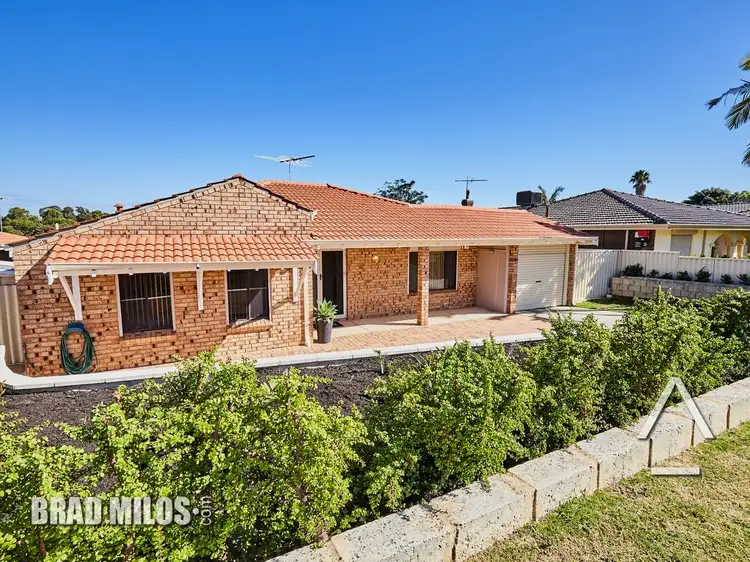 Sixth view of Homely house listing, 81 Marvell Avenue, Munster WA 6166