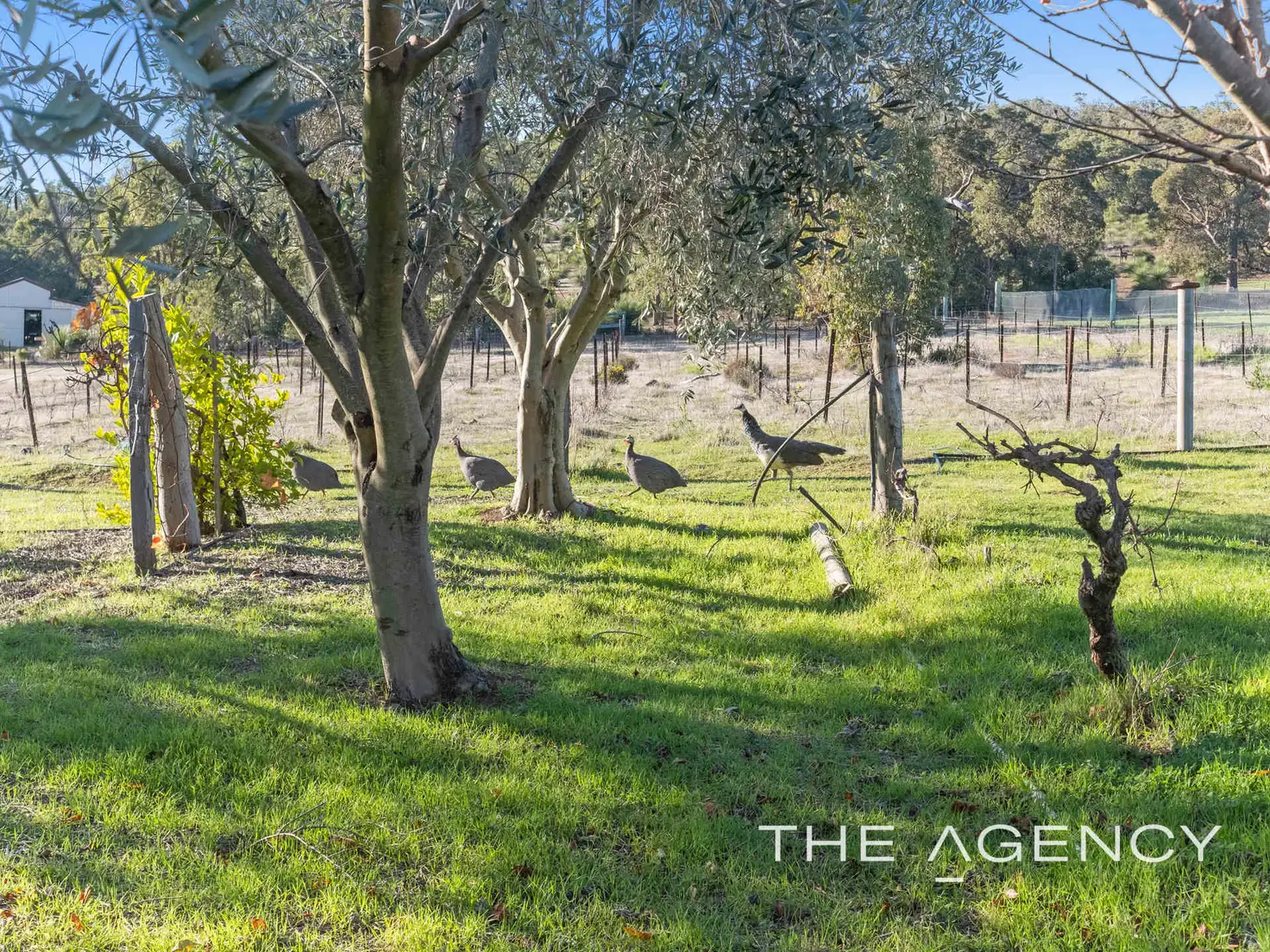 Main view of Homely house listing, 52 McGellin Way, Morangup WA 6083