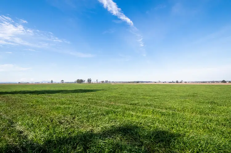 Main view of Homely rural property listing, 264 Finlaysons Lane, Ulmarra NSW 2462