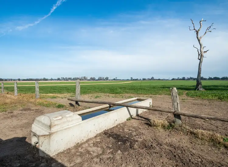 Third view of Homely rural property listing, 264 Finlaysons Lane, Ulmarra NSW 2462