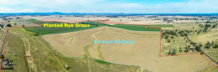 Fourth view of Homely rural property listing, 264 Finlaysons Lane, Ulmarra NSW 2462
