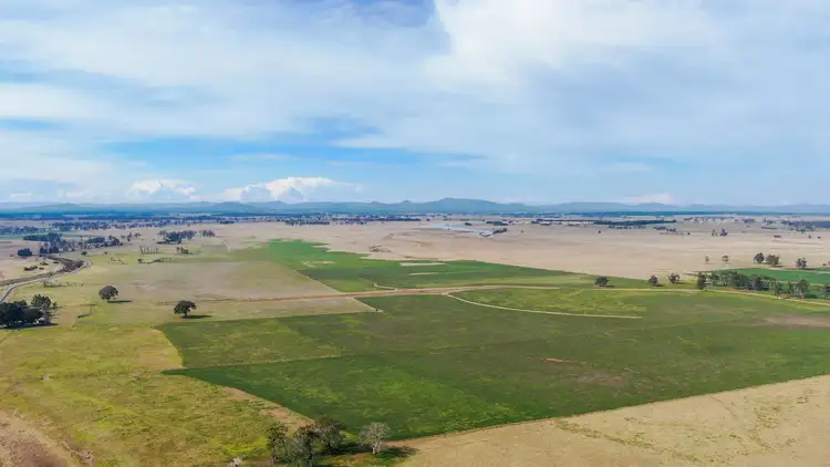 Fifth view of Homely rural property listing, 264 Finlaysons Lane, Ulmarra NSW 2462
