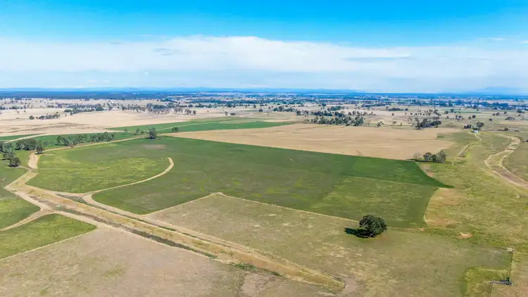 Sixth view of Homely rural property listing, 264 Finlaysons Lane, Ulmarra NSW 2462