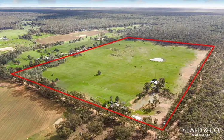 Main view of Homely house listing, 155 Minards Lane, Longlea VIC 3551