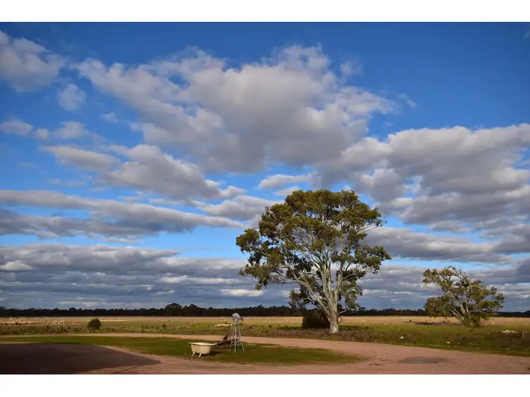 Fourth view of Homely rural property listing, 190 Battans Road, Sedan SA 5353
