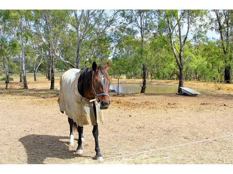 Second view of Homely rural property listing, 39-41 Doolan Crescent, Heathcote VIC 3523