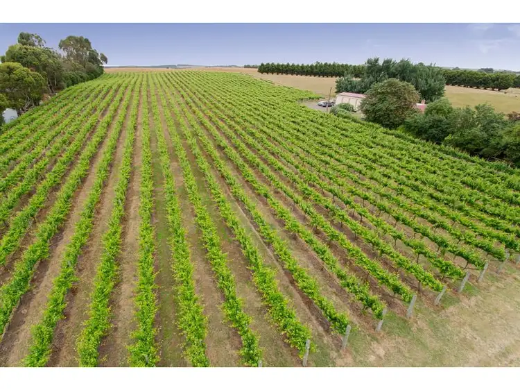 Third view of Homely rural property listing, 192 Square Mile Road, Mount Gambier SA 5290