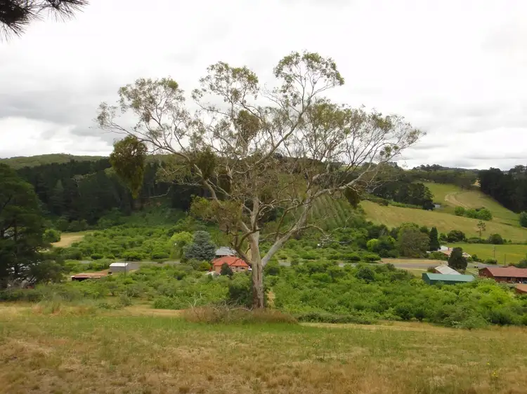 Seventh view of Homely rural property listing, 718 Swamp Road, Lenswood SA 5240