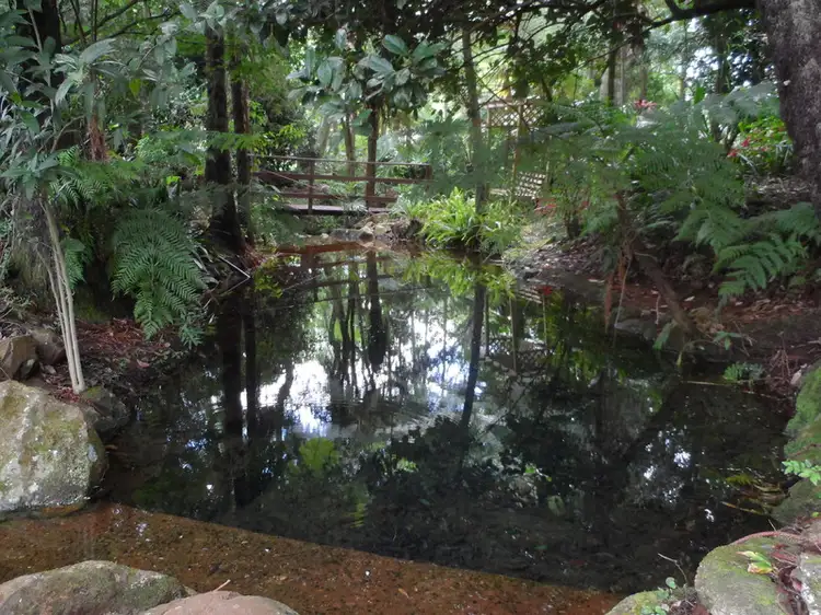 Fifth view of Homely house listing, 21 MANIKA CRT, Tamborine Mountain QLD 4272