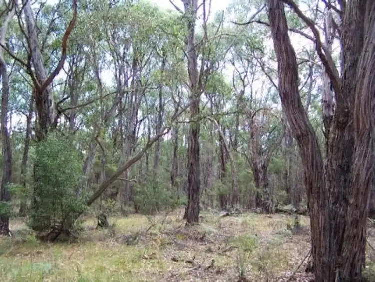 Seventh view of Homely rural property listing, 50 Possum Ridge Road, Yeodene VIC 3249