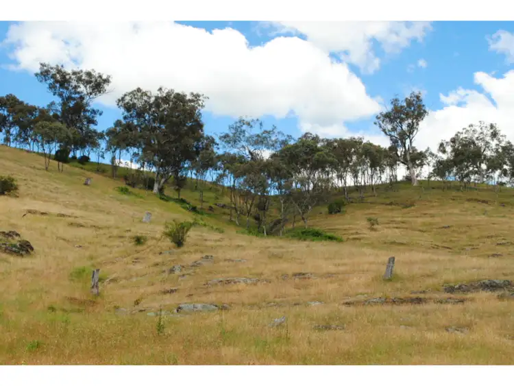 Sixth view of Homely rural property listing, 5553 Burrendong Way, Stuart Town NSW 2820
