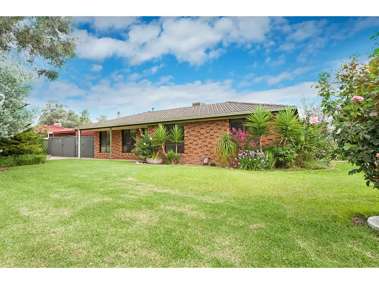 1 Lacebark Court, Thurgoona NSW 2640