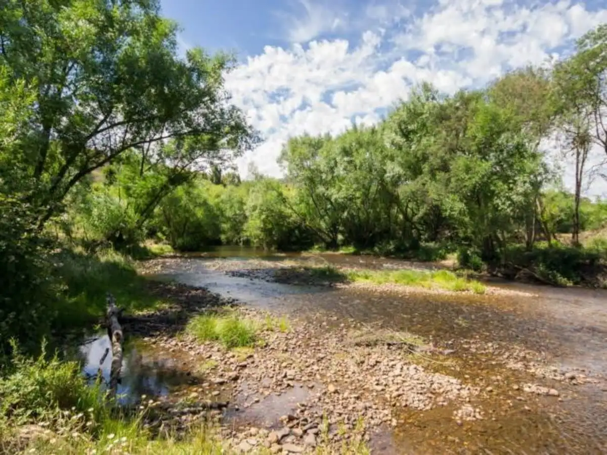 Main view of Homely rural property listing, 116 Sideling, Jamieson VIC 3723