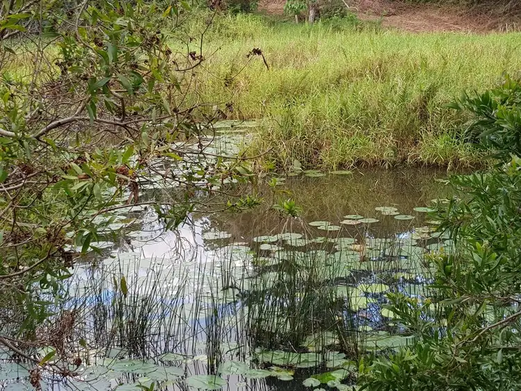 LOT 21, 19 Old Mill Lane, Flaxton QLD 4560