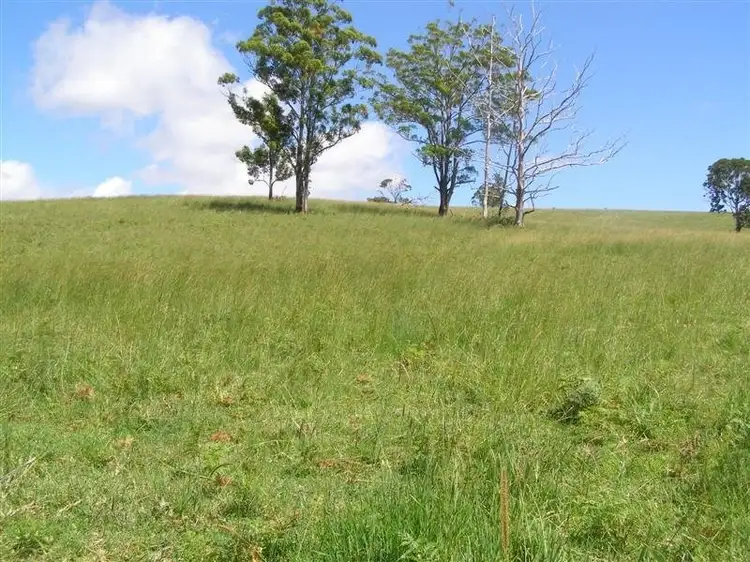 Seventh view of Homely rural property listing, F654 Lot 24 Kennedy Highway, Ravenshoe QLD 4888