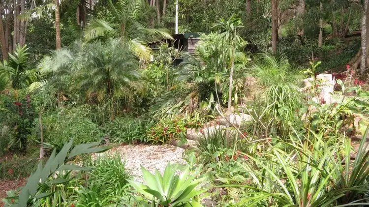 Seventh view of Homely rural property listing, 7 Sunrise Place, Uki NSW 2484