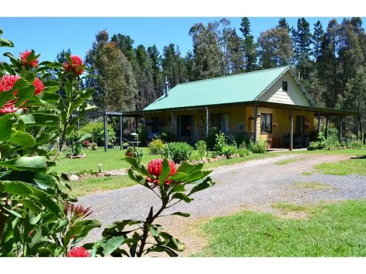 Main view of Homely house listing, 2779 Mansfield-Whitfield Road, Tolmie VIC 3723