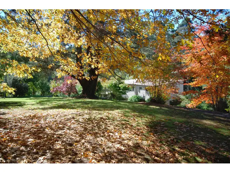10D Warne Street, Katoomba NSW 2780