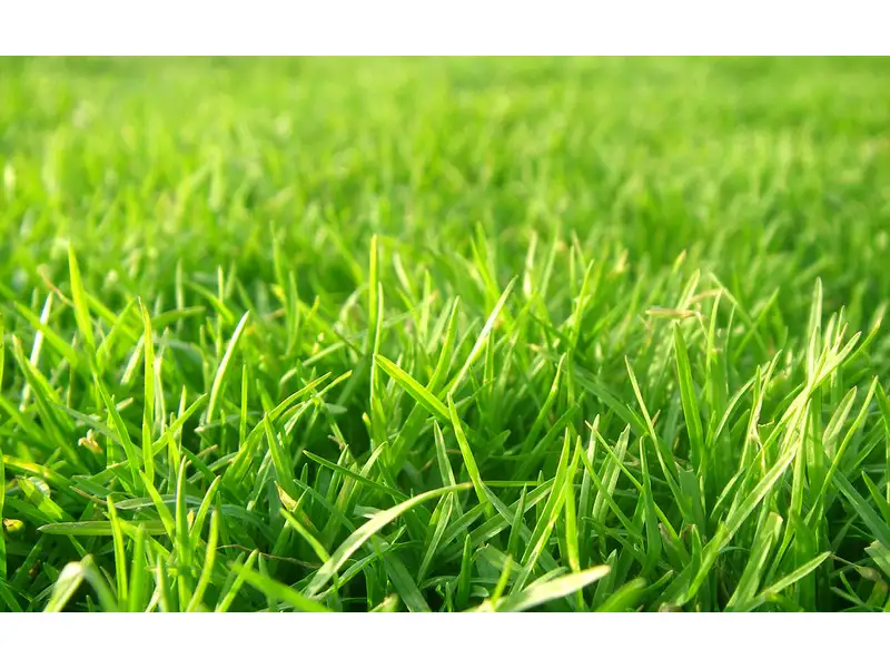 Main view of Homely land listing, LOT 439 Alarah Boulevard, Cranbourne West VIC 3977