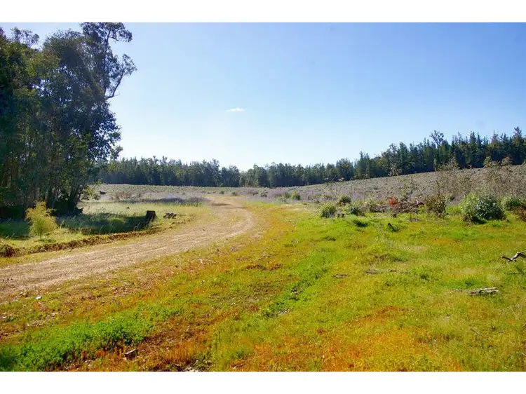 Second view of Homely rural property listing, Via Walker Road, Noggerup WA 6225