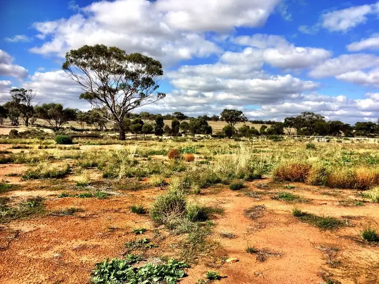 Fourth view of Homely land listing, 10 Hennessy Place, Goomalling WA 6460