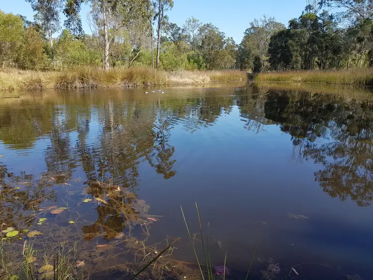 Fourth view of Homely rural property listing, 2122. Summerland Way, Warragai Creek NSW 2460